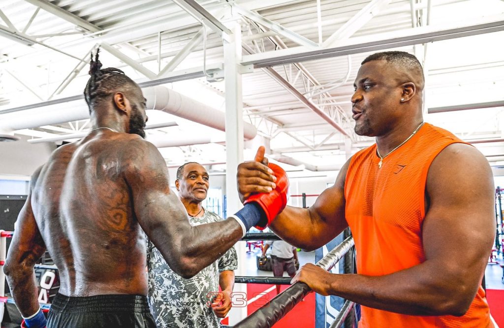 Deontay Wilder has offered Francis Ngannou a two fight deal in Africa, with one fight taking place in the boxing ring and the other fight taking place in the MMA ring.