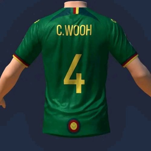 Cameroon's possible 2023 AFCON Jersey produced by their kit manufacturer One All Sports is currently making rounds on social media.