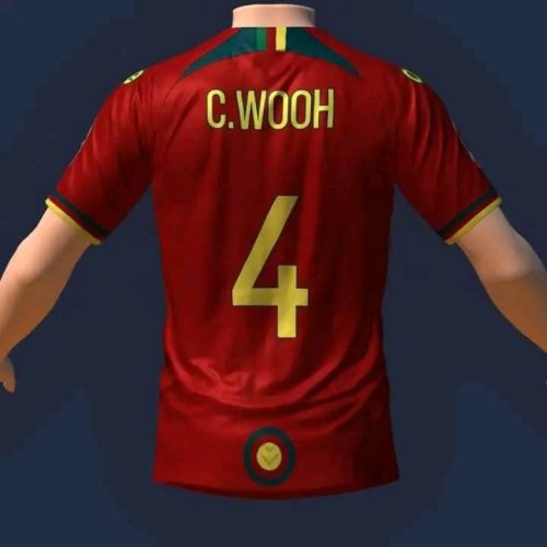 Cameroon's possible 2023 AFCON Jersey produced by their kit manufacturer One All Sports is currently making rounds on social media.