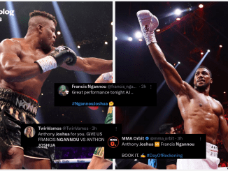 Francis Ngannou has called out Anthony Joshua after his impressive win against Otto Wallin.